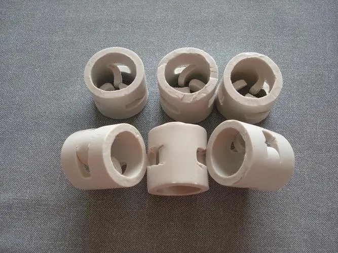 ceramic pall ring